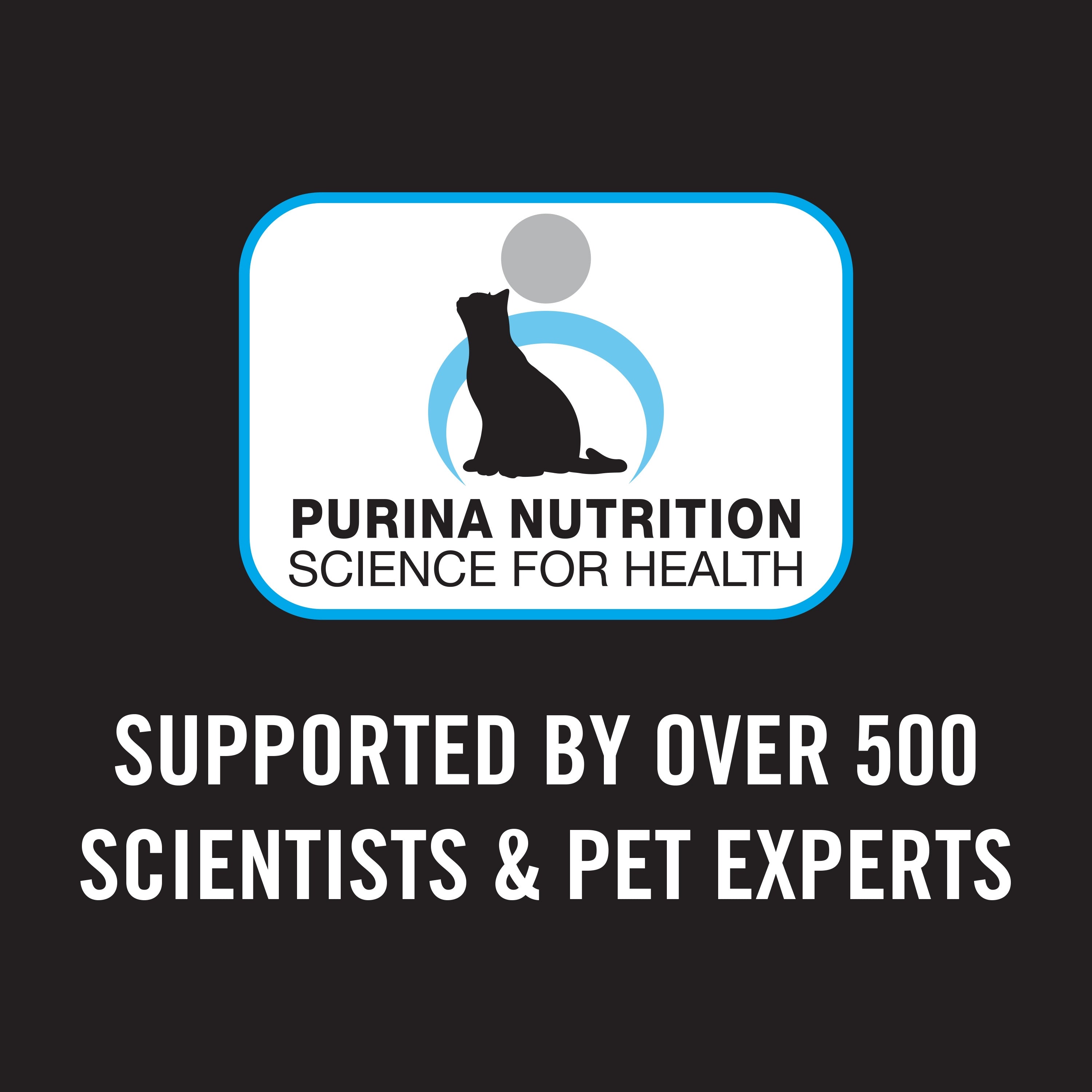 Purina Pro Plan Adult Cat Dry Food Chicken
