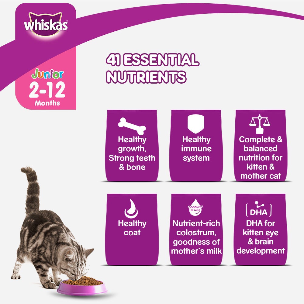 Whiskas Junior ( 2 - 12 Months Kitten )