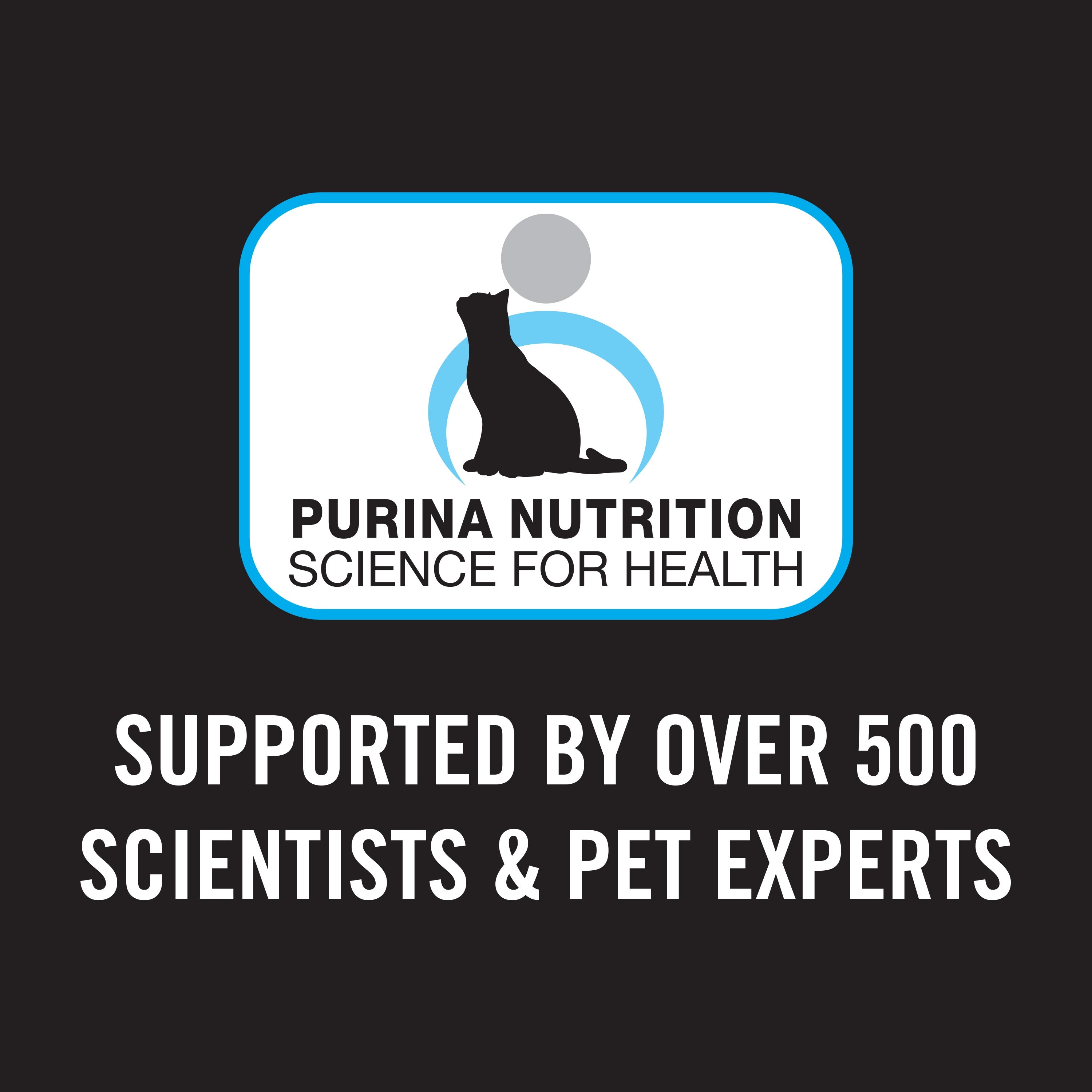 Purina Pro Plan Adult Cat Dry Food Sensitive Skin & Stomach (Salmon&Tuna)
