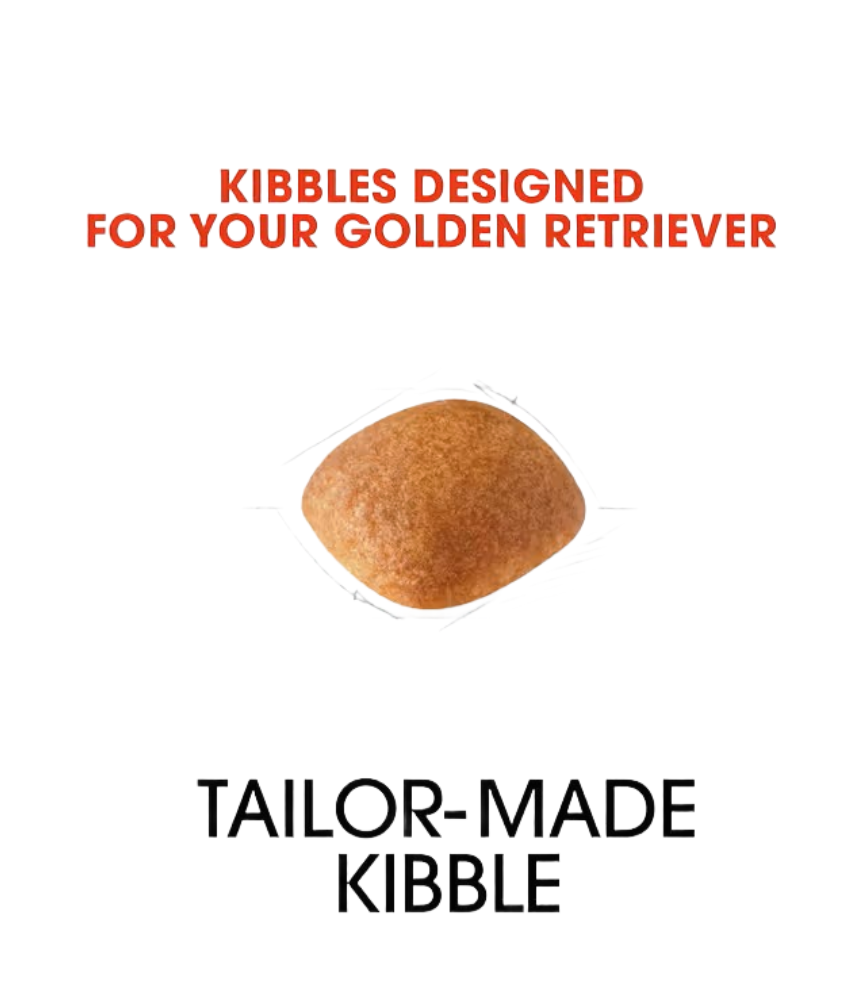 Royal Canin Golden Retriever Adult