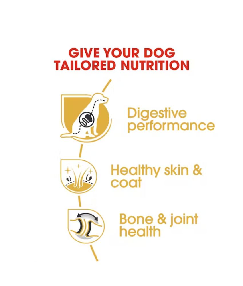 Royal Canin German Shepherd Adult