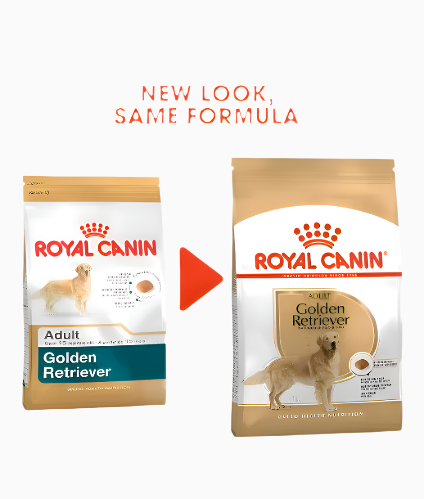 Royal Canin Golden Retriever Adult