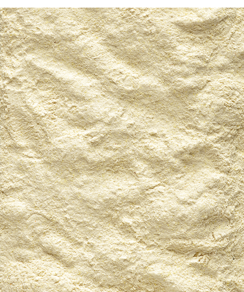 VERSELE - LAGA Nutri Bird Formula A21