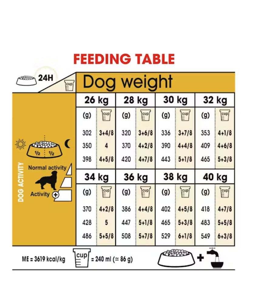 Royal Canin Golden Retriever Adult