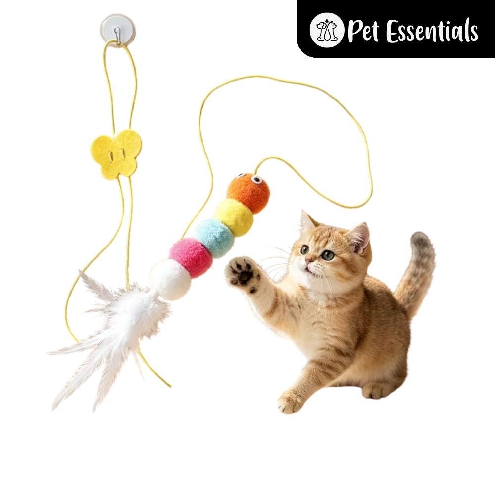 Cat Toy 3