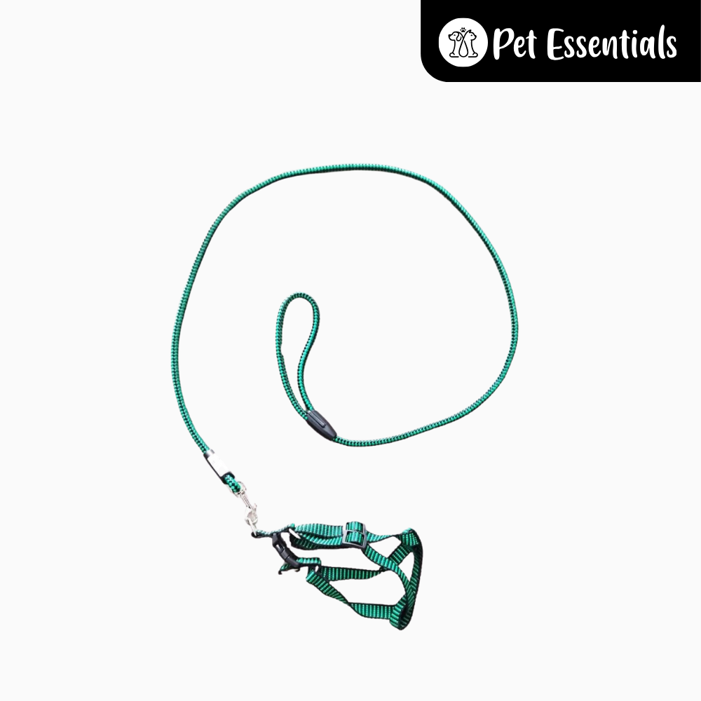 Adjustable Dog Harness and Leash