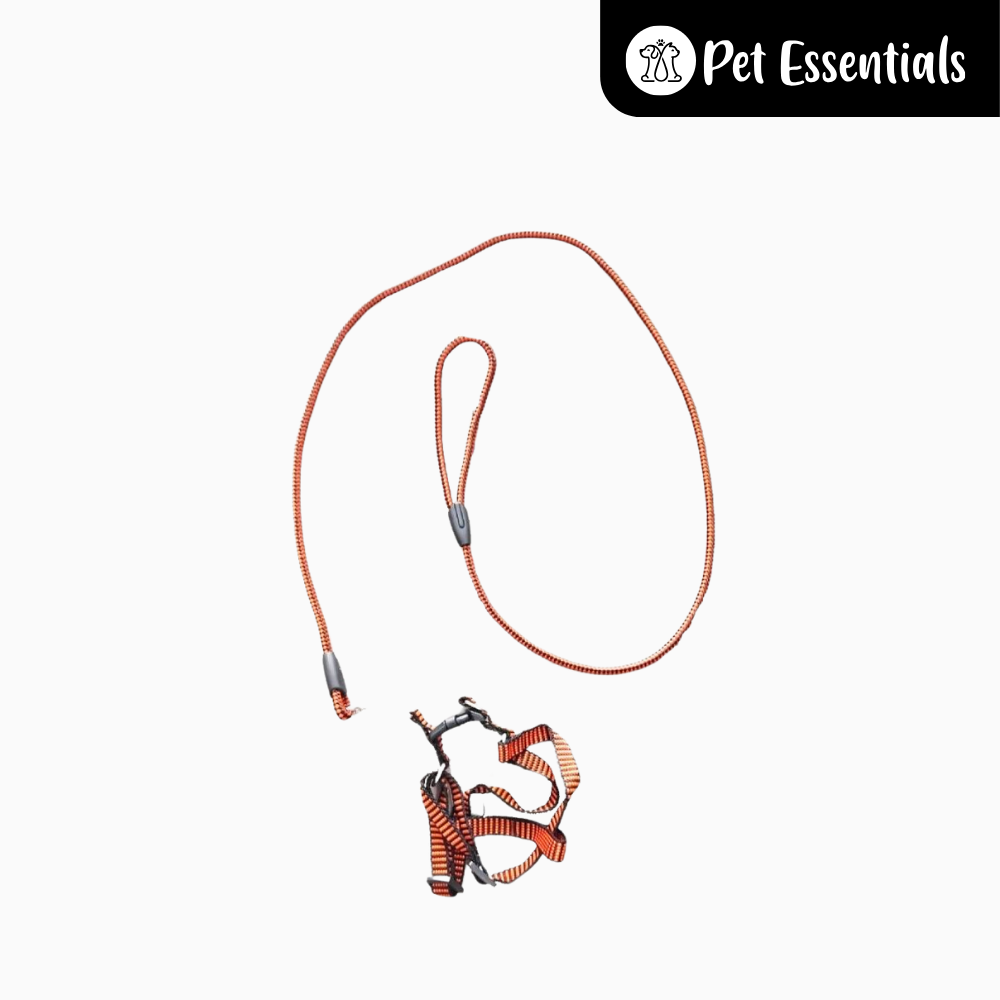 Adjustable Dog Harness and Leash