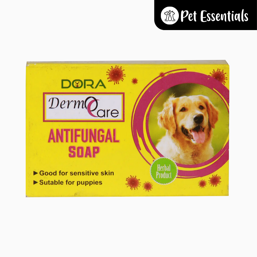 Dermo Care Antifungal Soap