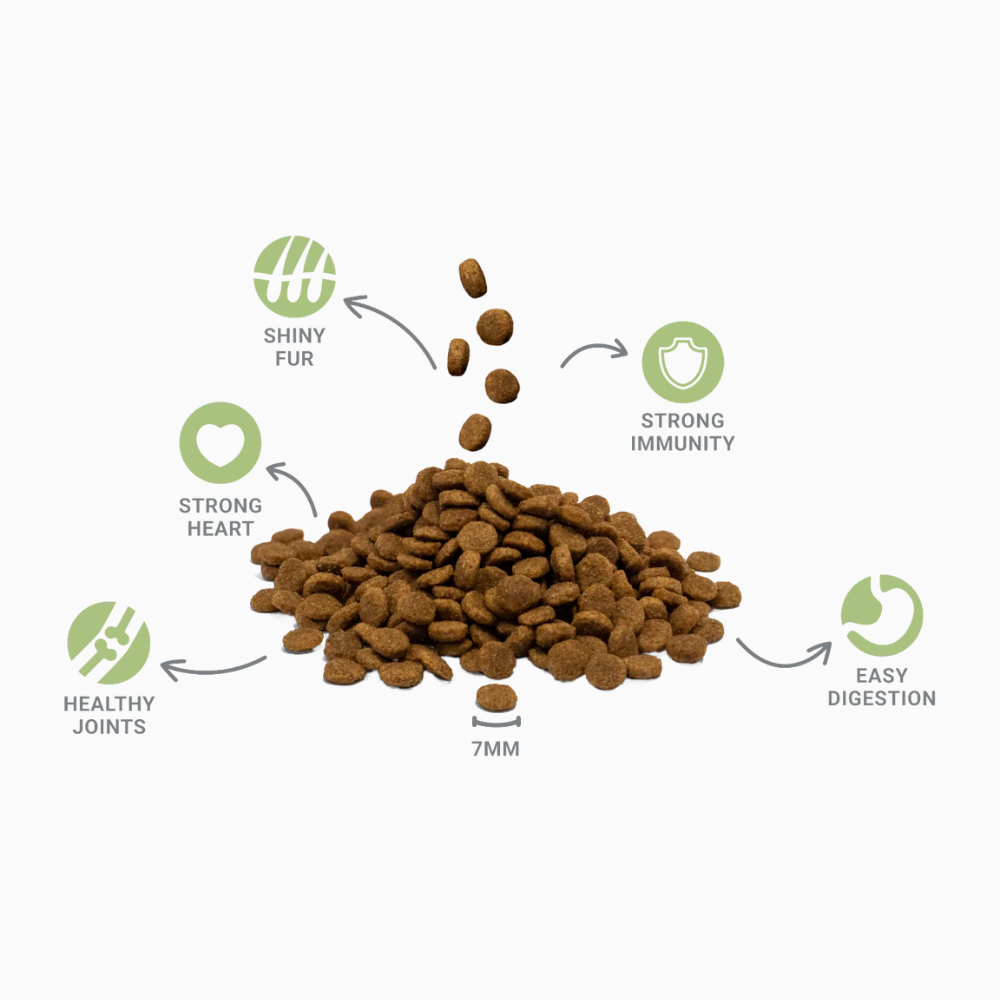 Divinus Cat Fish Dry Food for Adult Cats