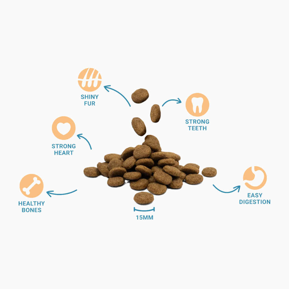 Divinus Adult Dog Food
