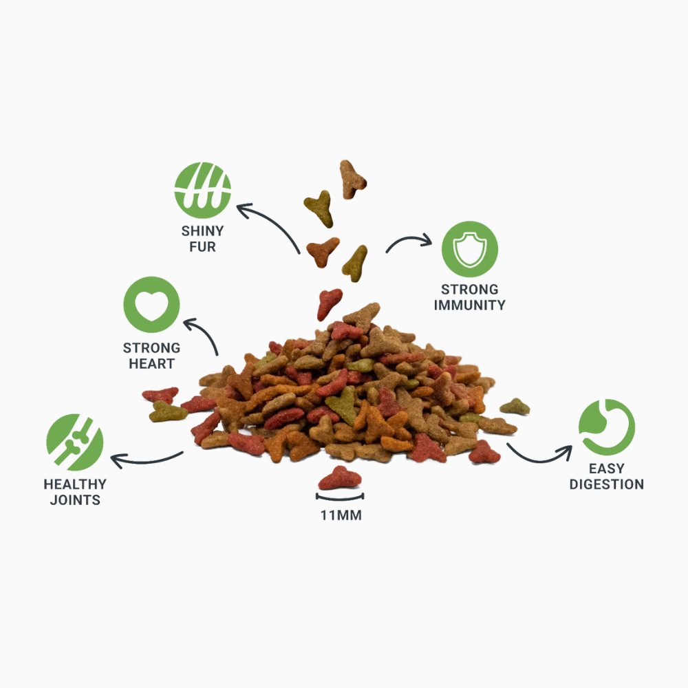 Divinus Puppy Dry Food