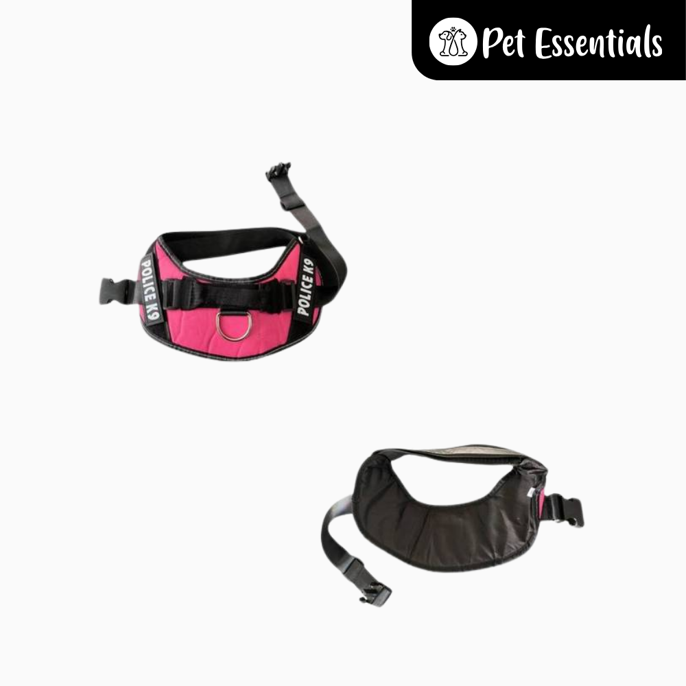 Dog Beach Harness