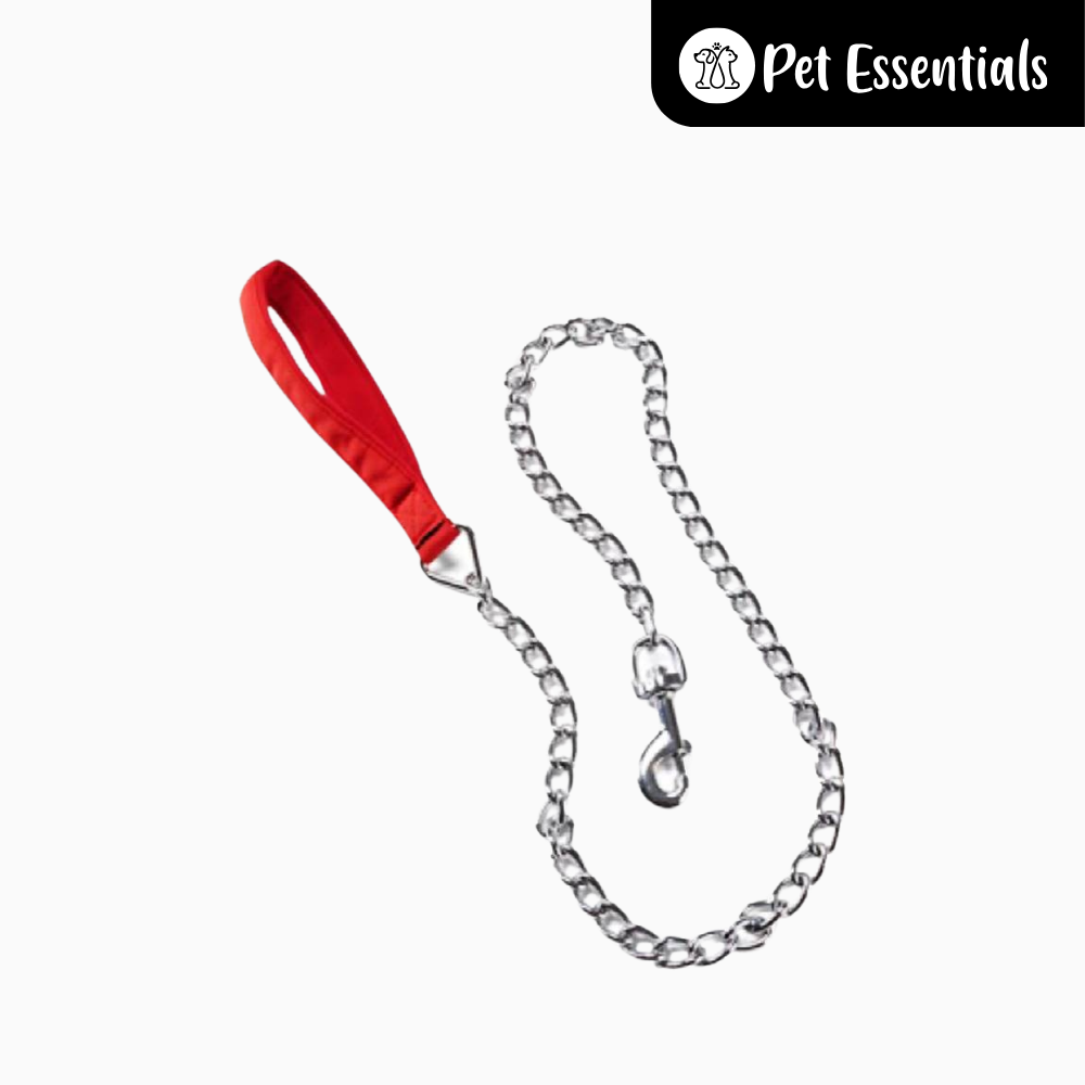 Dog Chain Leash