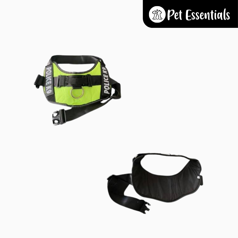 Dog Beach Harness