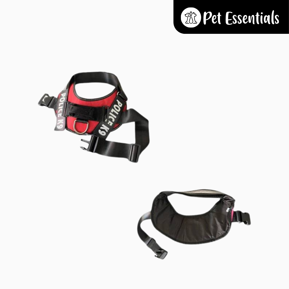 Dog Beach Harness