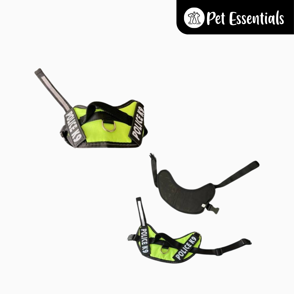 Dog Beach Harness