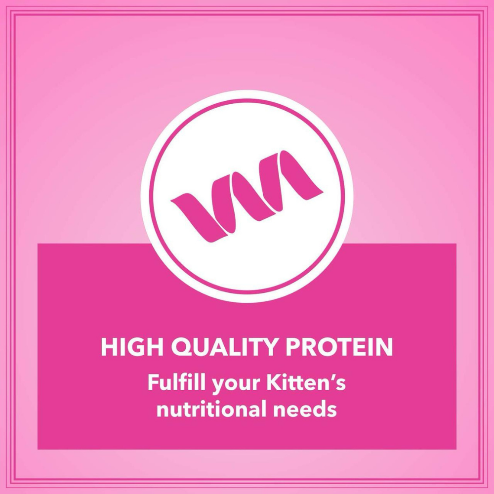 Let's Bite Active Kitten (Buy One Get One Free)