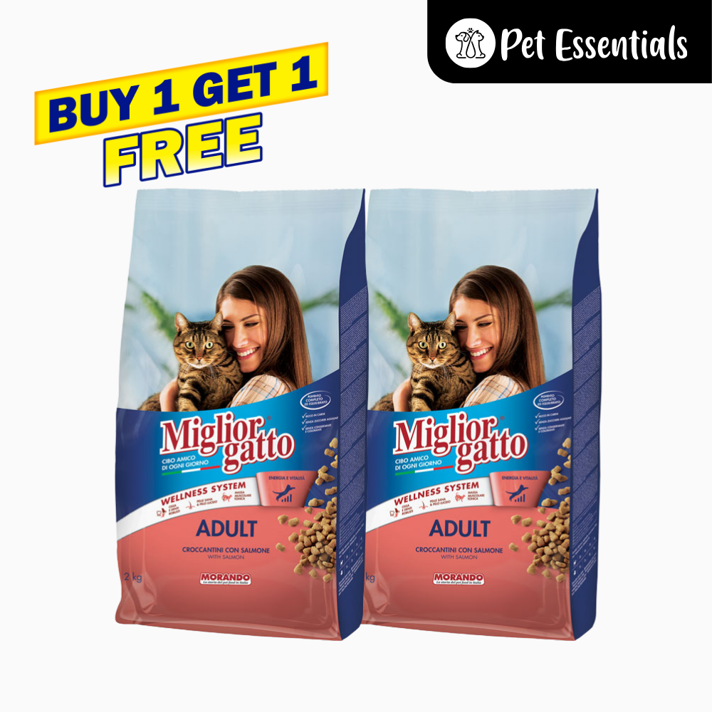 Morando adult cat Salmon (Buy One Get One Free)