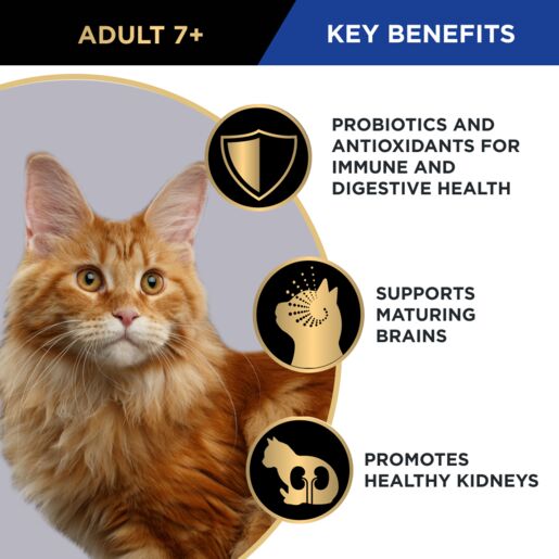 Purina Pro Plan Adult 7+ Cat Dry Food Salmon&Tuna