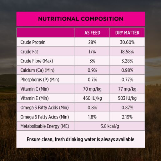 Purina Pro Plan Sensitive Skin & Stomack Adult Medium & Large Breeds