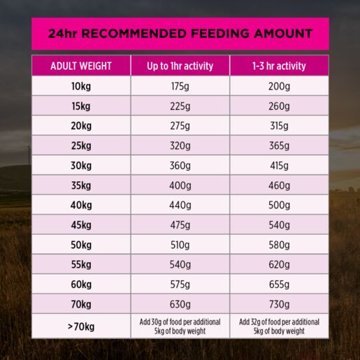 Purina Pro Plan Sensitive Skin & Stomack Adult Medium & Large Breeds