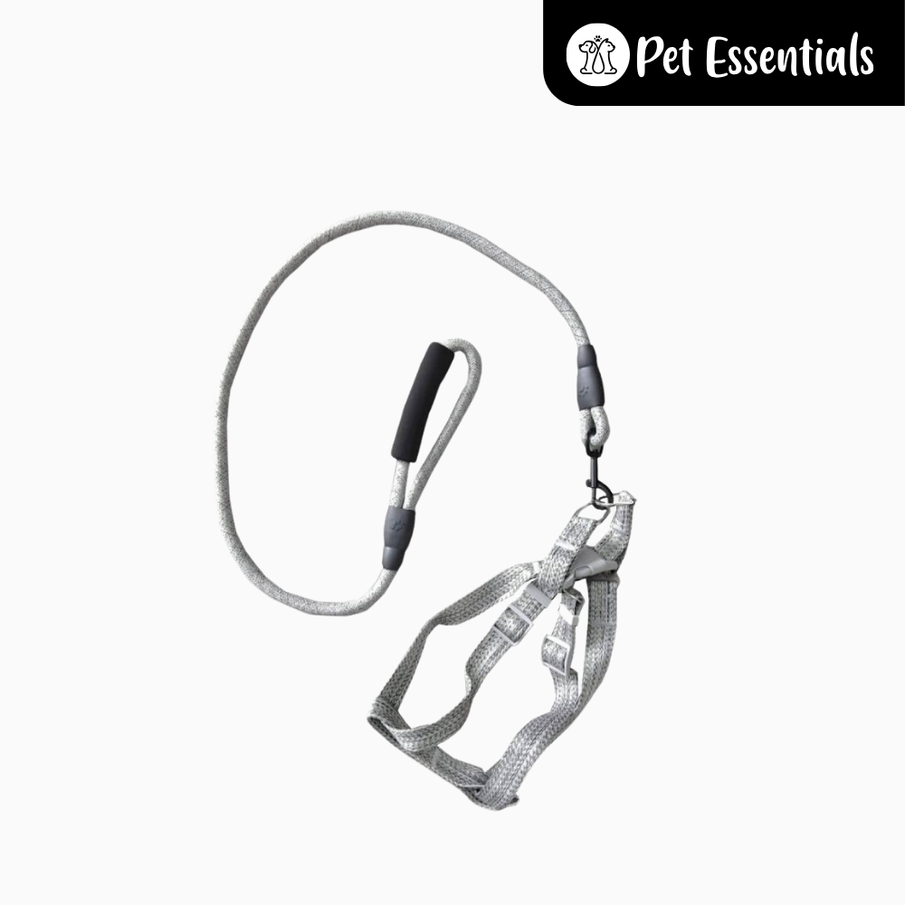 Nylon Dog Harness and Leash 2-in-1