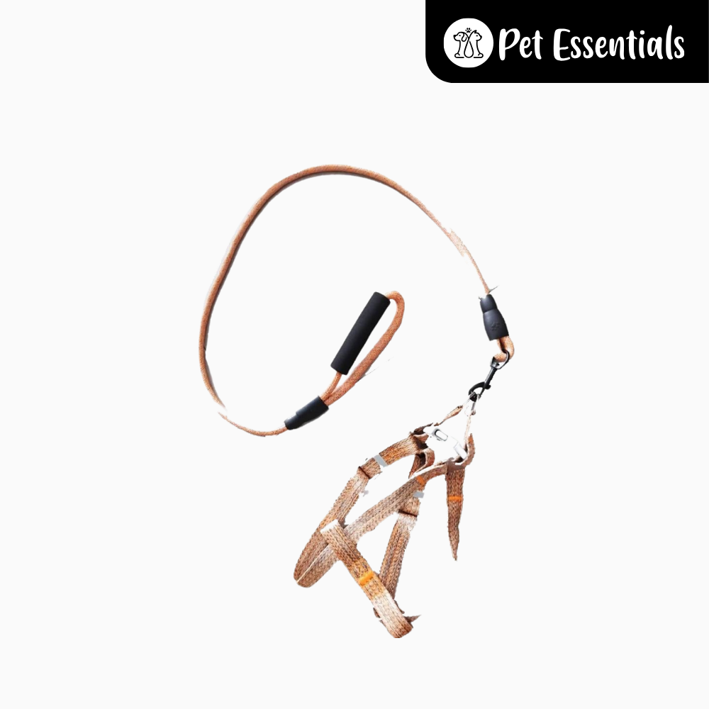 Nylon Dog Harness and Leash 2-in-1
