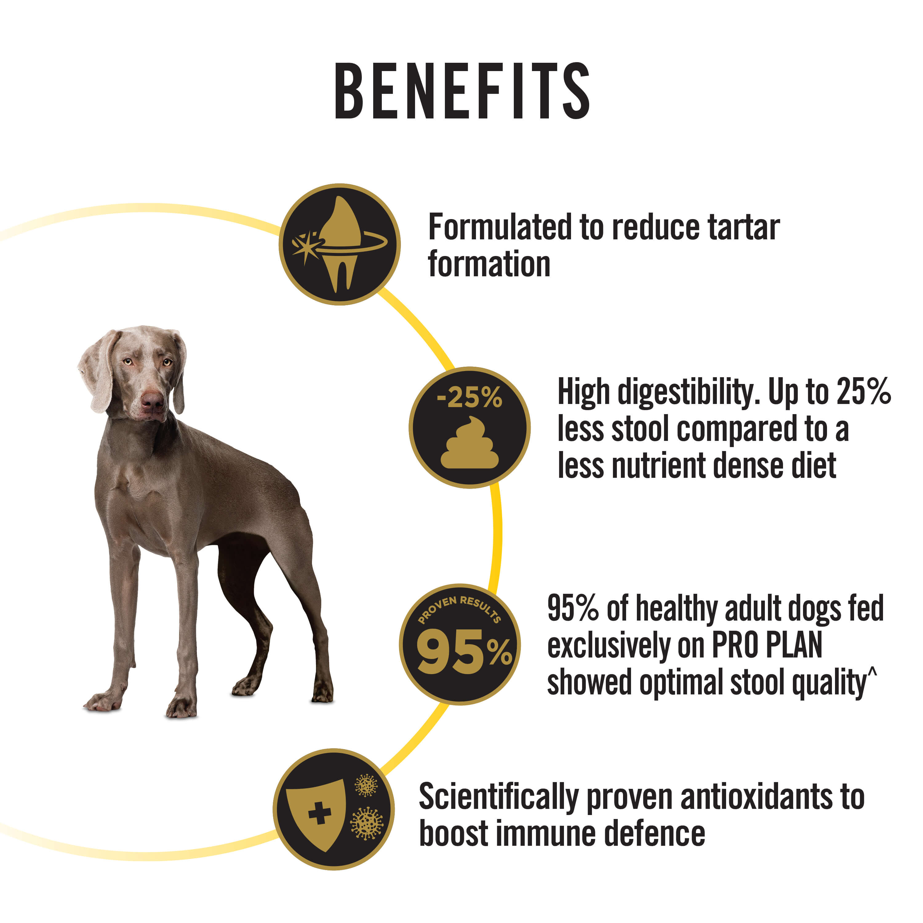 Purina Pro Plan Bright Mind Adult 7+