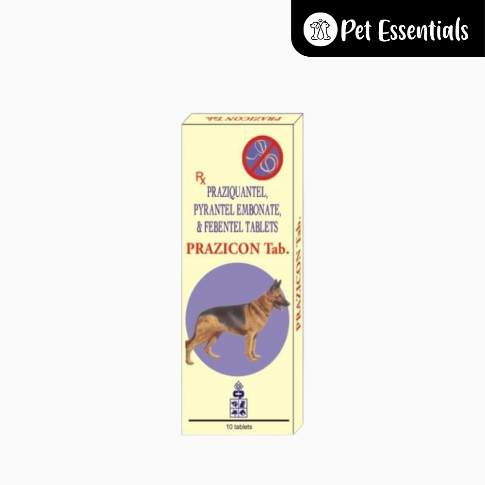 Prazicon Worm Tablet