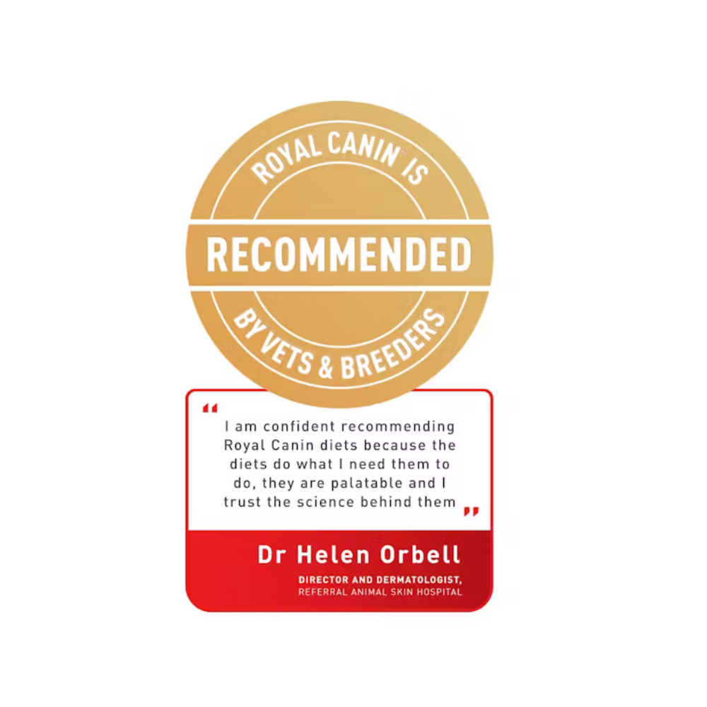 Royal Canin British Shorthair Adult Dry