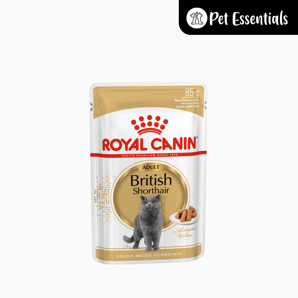 Royal Canin British Shorthair Wet