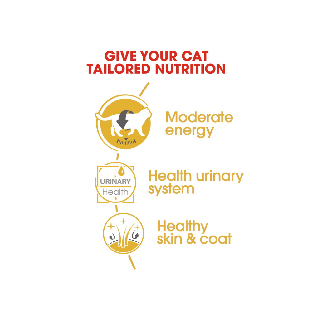 Royal Canin British Shorthair Wet