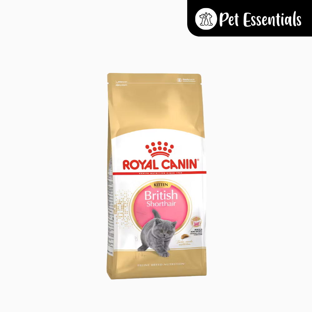 Royal Canin British Shorthair kitten Dry