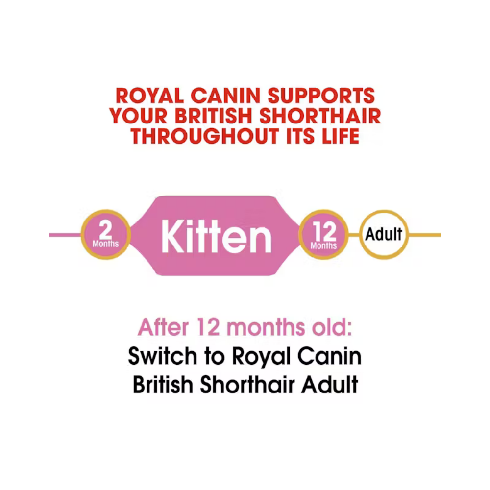 Royal Canin British Shorthair kitten Dry