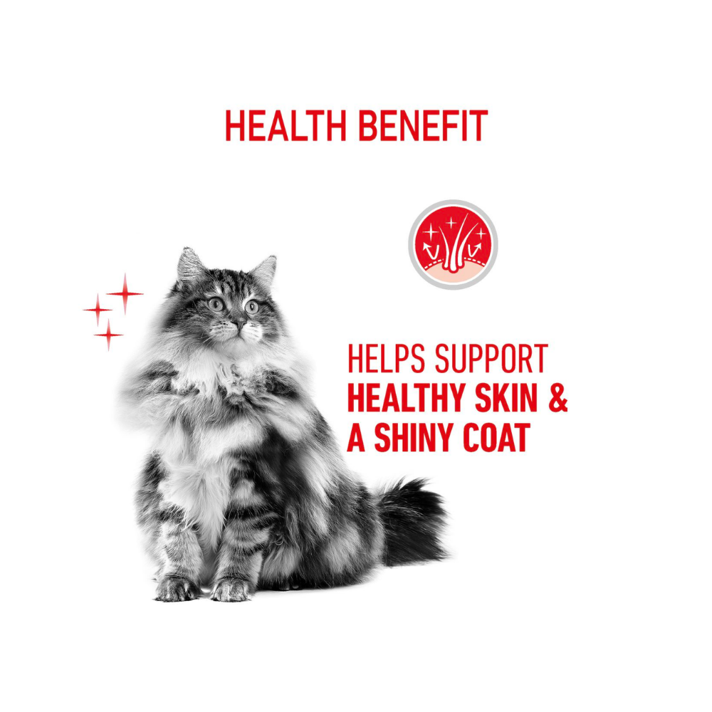 Royal Canin Cat Hair & Skin Care Dry