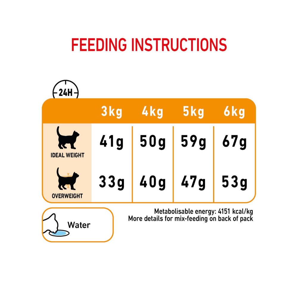 Royal Canin Cat Hair & Skin Care Dry