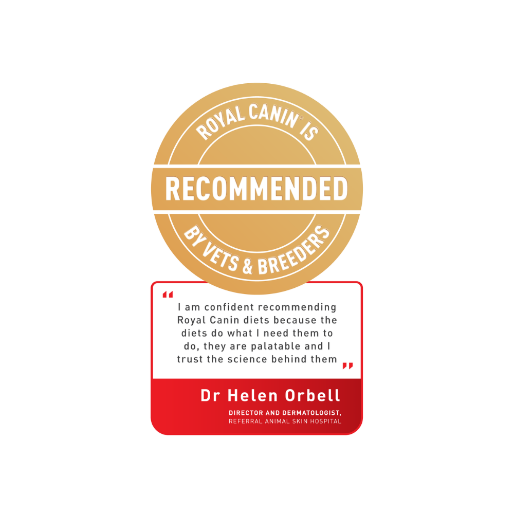 Royal Canin Cat Hair & Skin Care Dry