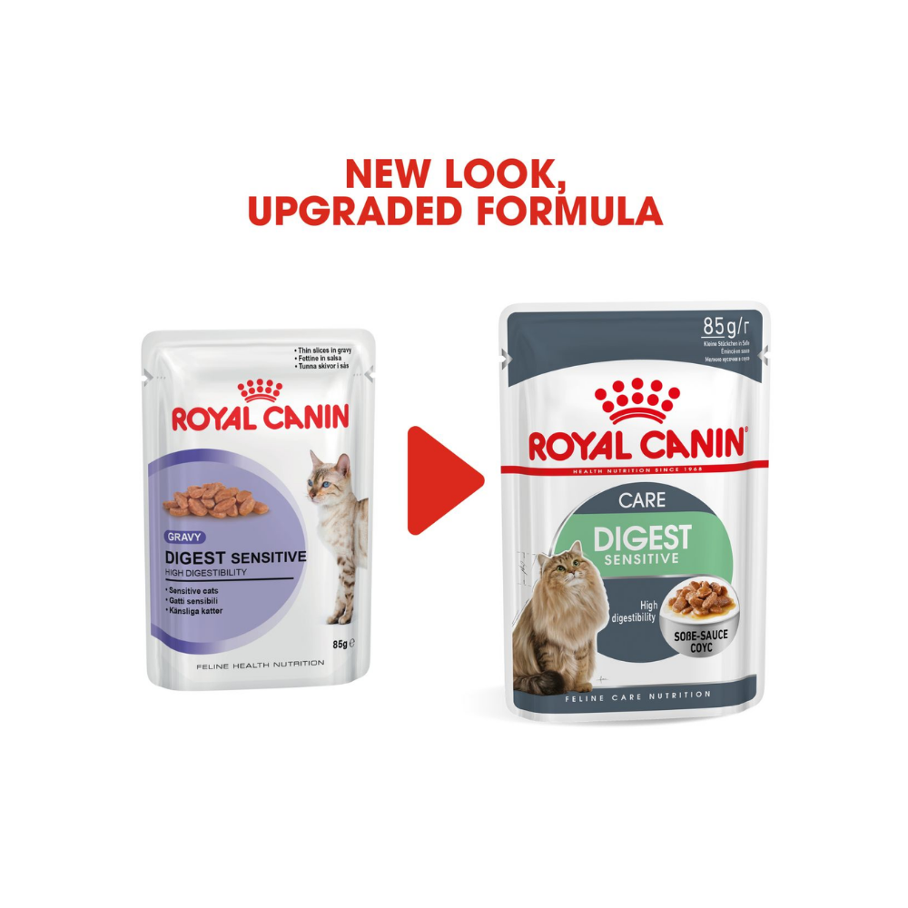 Royal Canin Digest Sensitive Care Wet Pouch