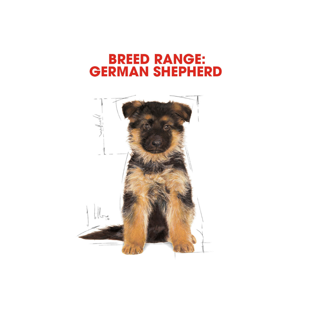 Royal Canin German Shepherd Puppy