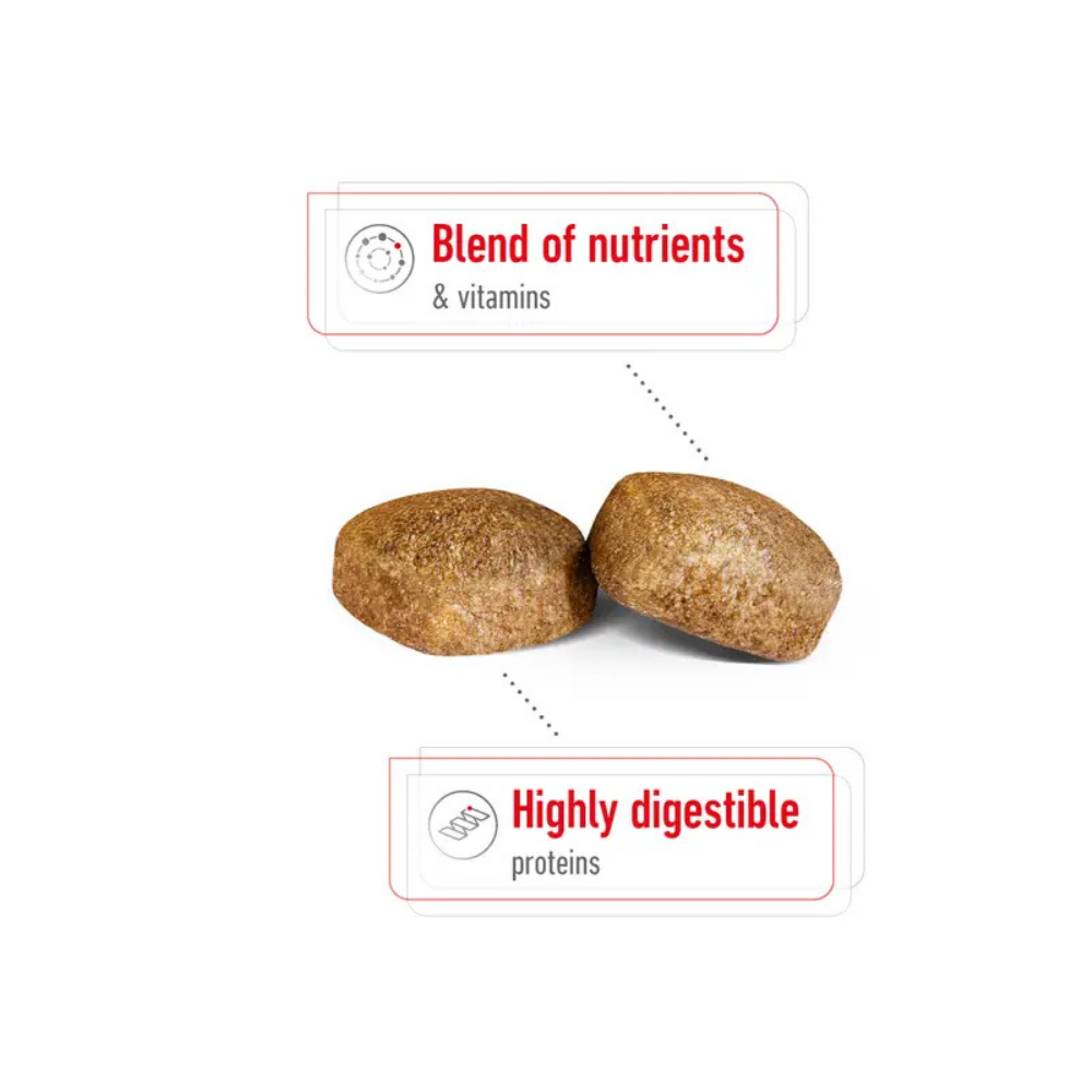 Royal Canin Giant Adult