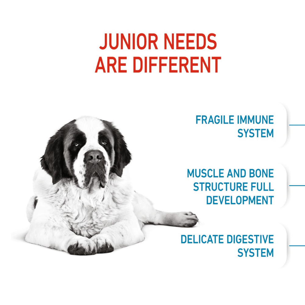 Royal Canin Giant Junior