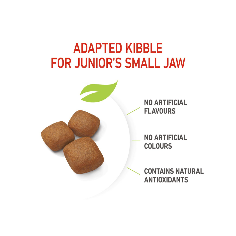 Royal Canin Giant Junior