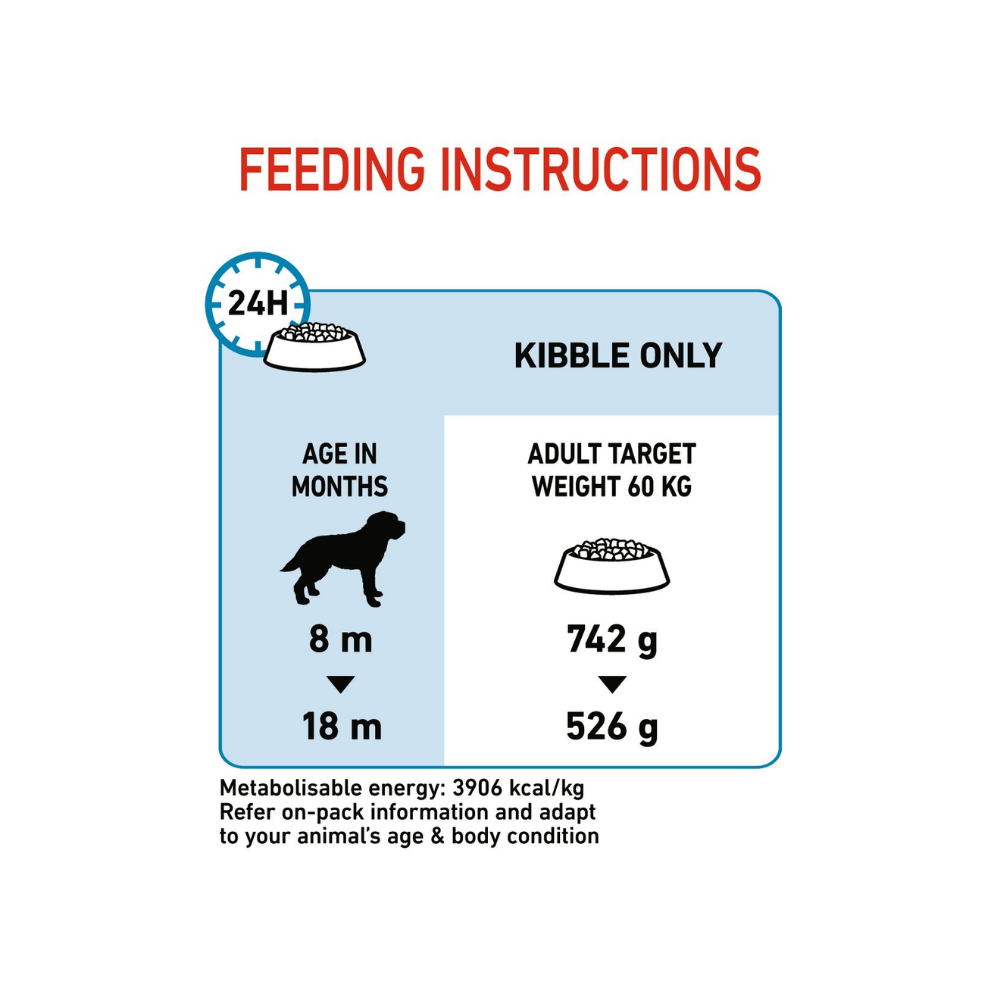 Royal Canin Giant Junior