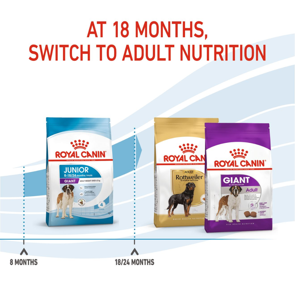 Royal Canin Giant Junior