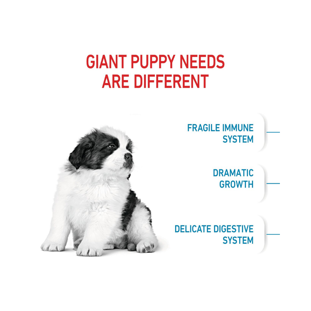 Royal Canin Giant Puppy