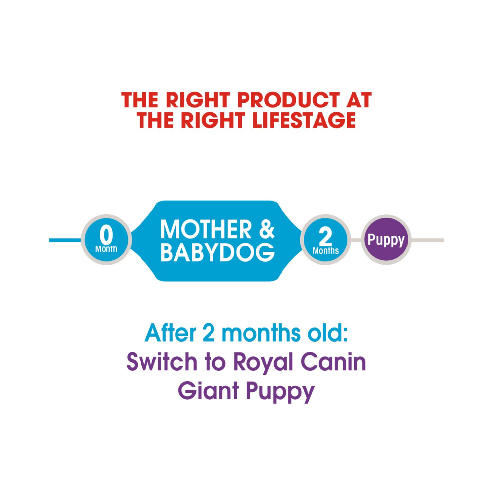 Royal Canin Giant Starter