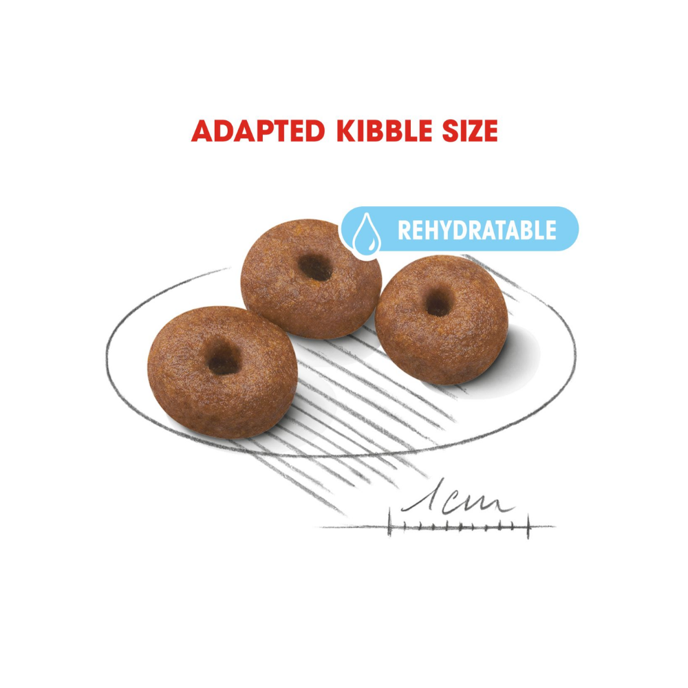 Royal Canin Giant Starter