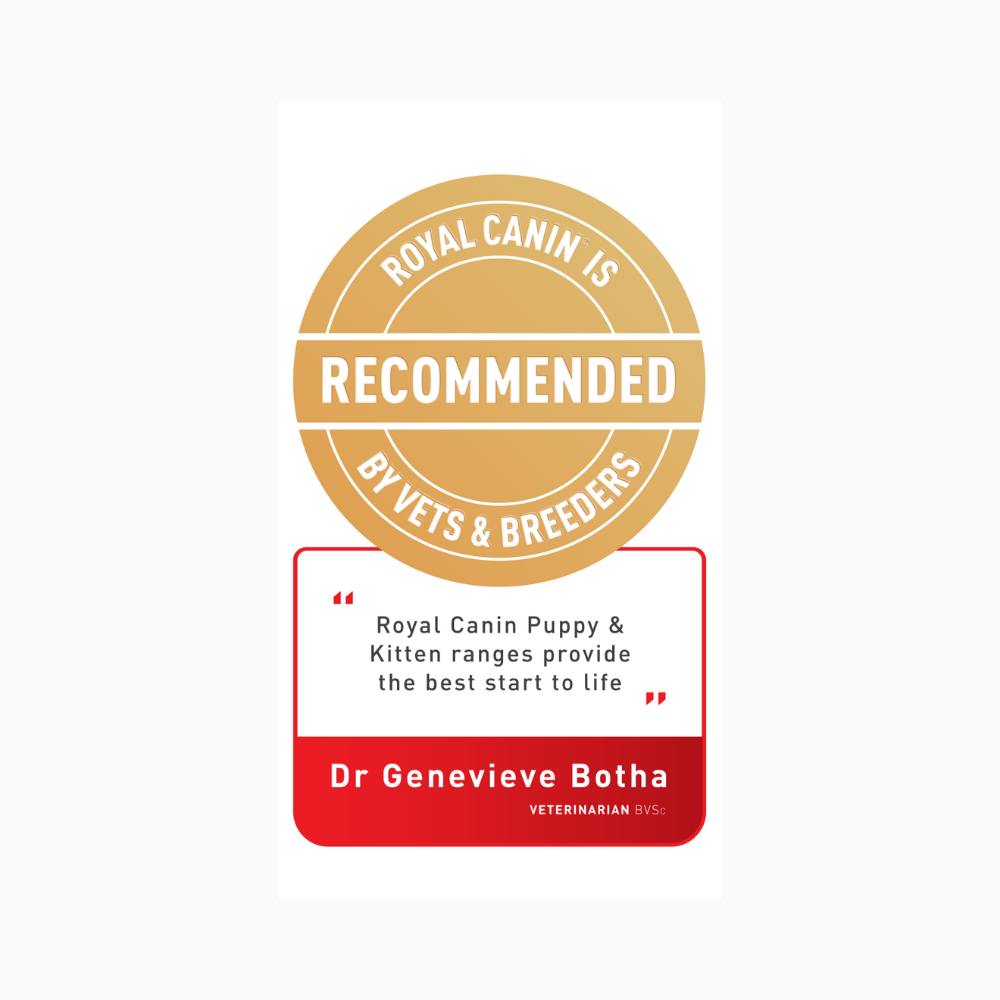 Royal Canin Golden Retriever Puppy