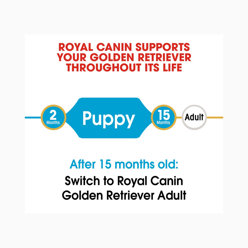 Royal Canin Golden Retriever Puppy