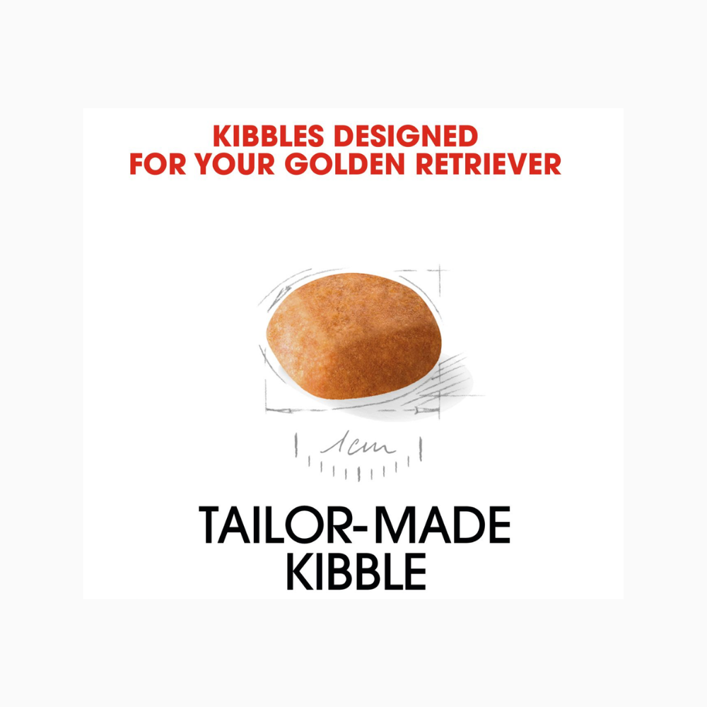 Royal Canin Golden Retriever Puppy